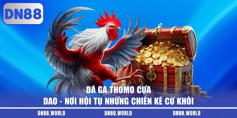 Đá Gà Thomo Cựa Dao - Nơi Hội Tụ Những Chiến Kê Cừ Khôi