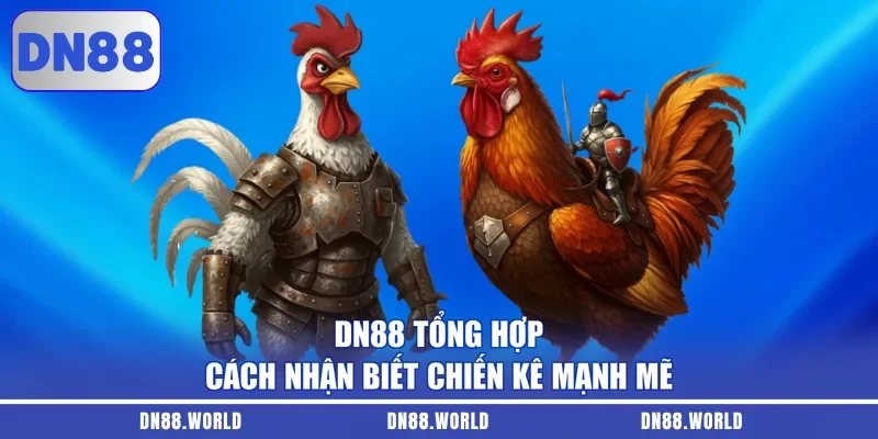 DN88 tổng hợp cách nhận biết chiến kê mạnh mẽ