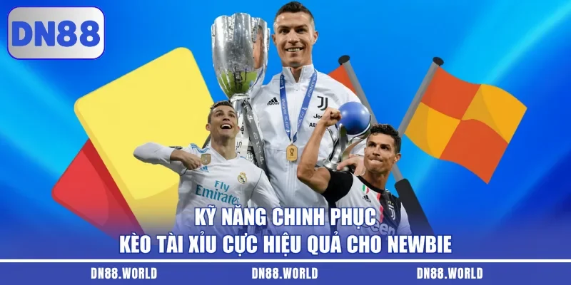 Kỹ năng chinh phục kèo tài xỉu cực hiệu quả tại DN88